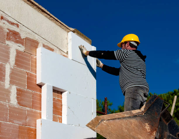 Best Residential Insulation Services  in Manvel, TX