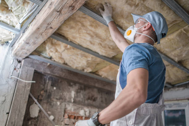 Best Insulation Repair Services  in Manvel, TX