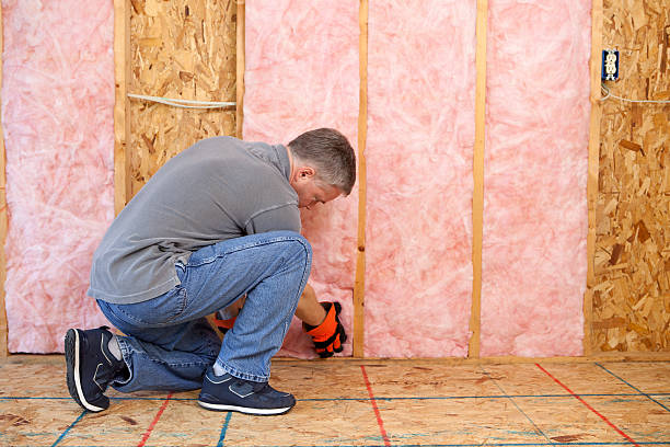 Best Insulation Inspection Services  in Manvel, TX