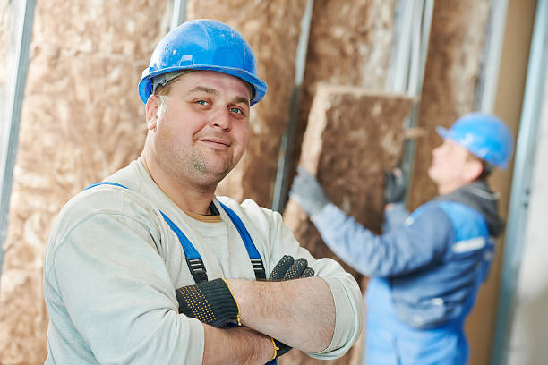 Best Insulation Inspection Services  in Manvel, TX