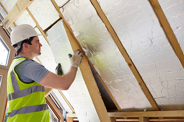 Best Wall Insulation Contractor  in Manvel, TX